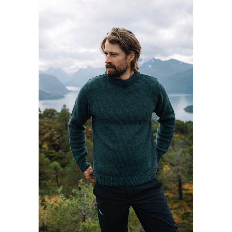 ARKTIS WOOL SWEATER WOODS - Devold New Zealand